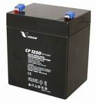 Vision CP1250 Battery